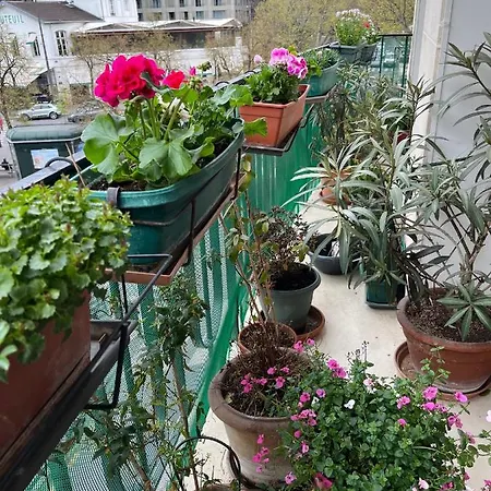 Porte D'auteuil 2 Bedroom *